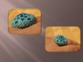 /album/bagues/bague-aout-7-jpg/